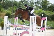 Poney D ma&icirc;tre d&rsquo;&eacute;cole, &agrave; louer