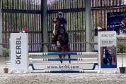 Hongre de 7 ans, +-1m65, BWP, par Nixon vh Meulenhof