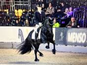 Puledro Frisone In vendita 2026 Nero ,  Menso 542