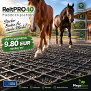Paddockplaten voor paarden kopen -&nbsp;Grasroosters