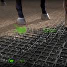Paddockplaten voor paarden kopen -&nbsp;Grasroosters