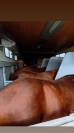 Mercedes Atego trasporto 4 cavalli e living