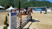 PONY IN VENDITA   LUNA