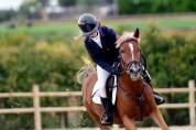 Jument Origine Constat&eacute;e A vendre 2015 Alezan