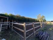&Agrave; VENDRE  Propri&eacute;t&eacute; &eacute;questre de 2,8 hectares &agrave; Vimory (4