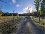 &Agrave; VENDRE  Propri&eacute;t&eacute; &eacute;questre de 2,8 hectares &agrave; Vimory (4