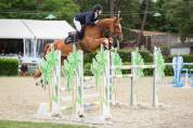 &Agrave; VENDRE HERMIONE D'ALBAIN, JUMENT SF 9ANS CSO AM ELITE