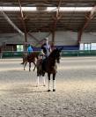 Ma&icirc;tre d&rsquo;&eacute;cole Cheval de dressage d&rsquo;exception 