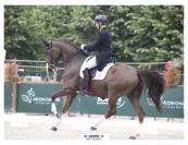 Ma&icirc;tre d&rsquo;&eacute;cole Cheval de dressage d&rsquo;exception 