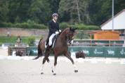 Ma&icirc;tre d&rsquo;&eacute;cole Cheval de dressage d&rsquo;exception 