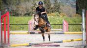 poney &agrave; louer ou &agrave; vendre