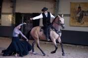 Lusitanien OC
