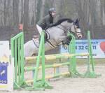 Welsh Cob  gros potentiel moyens &agrave; exploiter