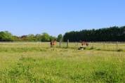 Cuadra de carrera En venta Charente Mar&iacute;timo