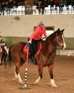 Jument Paint Horse PP APHA