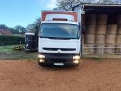 Camion chevaux 7 places 