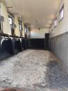 Camion chevaux 7 places 