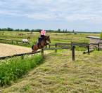 Cheval PP 9 ans - Polyvalent 
