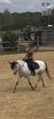 JUMENT - WELSH PART BRED - 7 ANS 