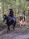 Trotteur 1,56 