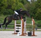 TOP 6 ANS AMATEUR 