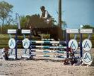 TOP 6 ANS AMATEUR 