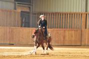 Hongre Quarter Horse PP