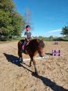 Poney Pottok 6 ans