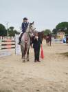 Hongre 6ans class&eacute; 125