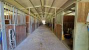CENTRO IPPICO/MANEGGIO/SCUDERIA CAMPAGNA FERRARESE