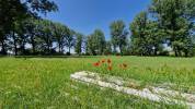 CENTRO IPPICO/MANEGGIO/SCUDERIA CAMPAGNA FERRARESE