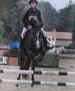 Ponette C Fran&ccedil;ais De Selle 