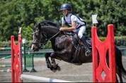 Ponette C Fran&ccedil;ais De Selle 