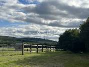 Explotaci&oacute;n forestal En venta Orne