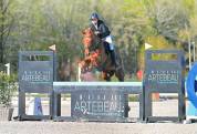 Dizi d&rsquo;harreville -> Hongre de 13 ans &agrave; vendre pour CSO