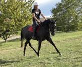 Ponette 1m49 3 ans pp