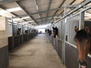 Pension pour chevaux dans le JURA à Balaiseaux