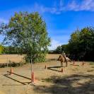 Pension chevaux - Association la randonnée (77)