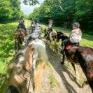 Pension chevaux - Association la randonnée (77)