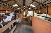 Pension chevaux - Association la randonnée (77)