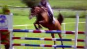 Pony salto ostacoli 