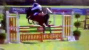 Pony salto ostacoli 