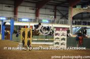 148cm Irish Showjumping Pony