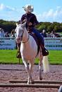Etalon Quarter & Paint Horse Cremello Scandalous White 