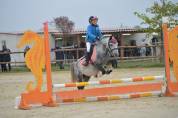 pension chevaux