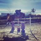 pension chevaux