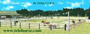 Marcheur Ovale Speed Horse Training jusqu'à 30 chevaux