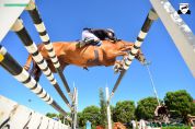 SCEA Haras de Fuyssieux | Horse breeders > Breeders, Sport horses