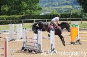 Fabulously bred for show jumping