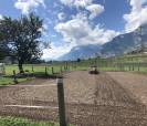 Pension pour chevaux - boxes et boxes terrasse à louer